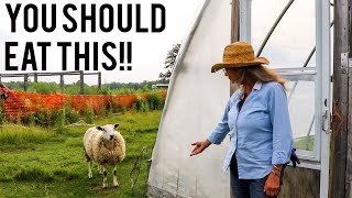 The Food You Eat Is ALL WRONG! (According to this Sheep Farmer)