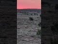 EBP wonderful thank you to all support members the earthship build project Western Americana