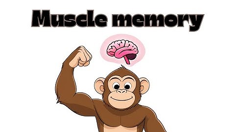 The Truth About Muscle Memory | Why Gains Come Back So Fast