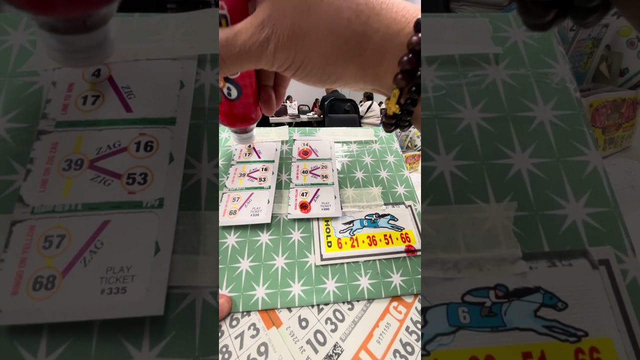 zingo and 37 horses #bingo #bingoplayers #bingogames #bingonight #pulltabs #bingoplus  #bingoaddict 