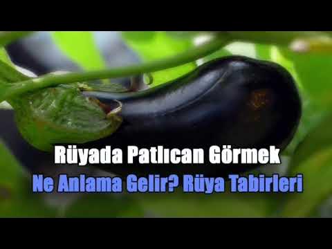 Rüyada Patlıcan Görmek Ne Anlama Gelir? Rüya Tabirleri - YouTube