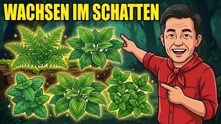 12 Pflanzen, Die Schattige Gärten HEIMLICH LIEBEN — Warum 97% der Gärtner Sie Übersehen
