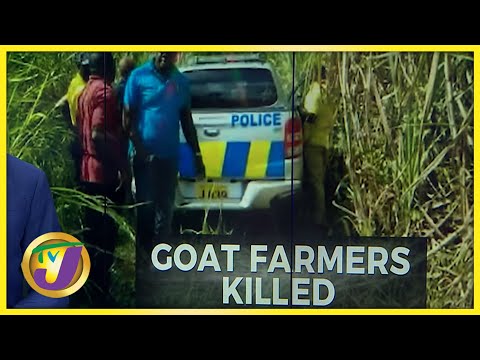 Goat Farmers Killed in Westmoreland Jamaica | TVJ News