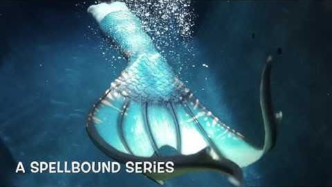 Introducing the NEW Sea Whip Spellbound Mermaid Tail!