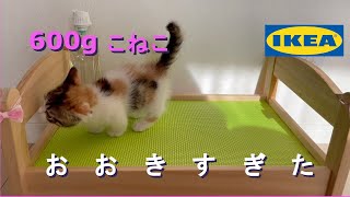 【IKEA】人形用ベッド ドゥクティグが子猫に大きすぎたので…【DUKTIG】