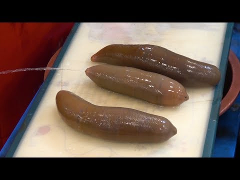 Sea squirt korean food