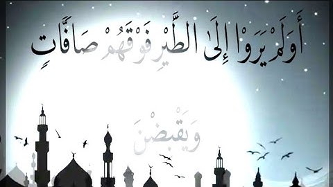 سورة الملك من الاية 15 الى الاية 30 بصوت المقرئ يوسف الدغوش