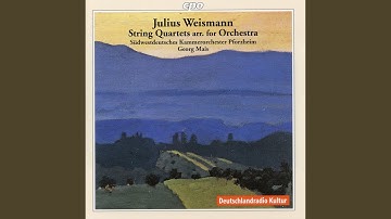 String Quartet in G Major, Op. 147 (Arr. G. Mais for String Orchestra) : I. Allegro moderato