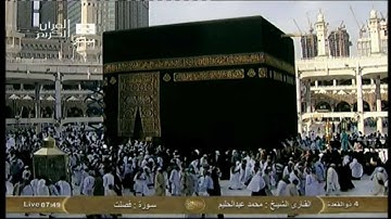 ۞ سورة فصلت الآية 20 حتى 54  ۞ بصوت القارئ الشيخ : محمد عبدالحليم