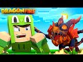 DragonFire - The Corruption Day 14 - THE BABY FIRE DRAGON  - Minecraft