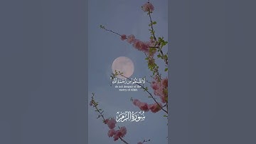 #تلاوات #اكسبلور #المصحف #تلاوات_خاشعة #لايك #قرآن #راحة_نفسية #حالات_واتس #تلاوة_خاشعة #تلاوة_مميزة