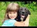 Дети и животные 6 ● Приколы с животными осень 2014 ● Dogs, Cats &amp; Cute Babies Compilation ● Part 6