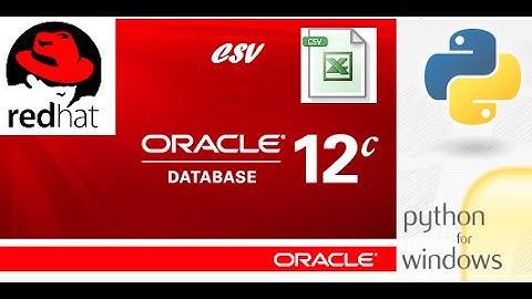How to export CSV data from Oracle database using Python.