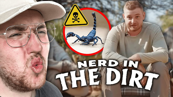 DIE ERSTEN SKORPIONE! Nerd in the Dirt Folge 2 | Zarbex Reaktion