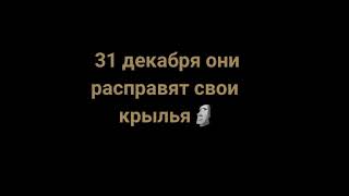 31 Декабря Они Расправят Крылья