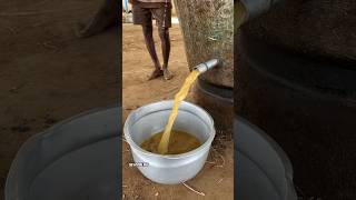 Village Making of Peanut Oil streetfood oil