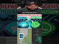 REPASSE DE MENSAGENS do TELEGRAM para o WHATSAPP AUTOMATICO - BÁSICO R$ 300,00  PREMIUM R$ 600,00