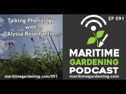 Vídeo: Phenology Garden Info - Aprenda sobre a fenologia das plantas