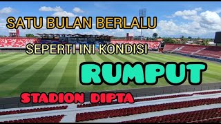 Satu Bulan Berlalu Seperti Ini Kondisi Rumput Hybrid Stadion Dipta.