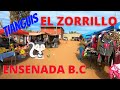 Tianguis De El Zorrillo 🦨 | Ensenada Baja California | De Aventuras