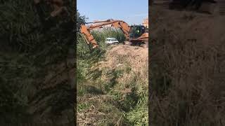 www.ammobracivil.es - LIMPIEZA DE CAÑAS EN RIOS MURCIA