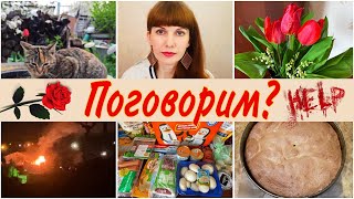 VLOG: ПЕРВЫЕ ЦВЕТЫ 💐ШАРЛОТКА🥧СУД над БИШИМБАЕВЫМ👩‍⚖️ #засалтанат 🪽