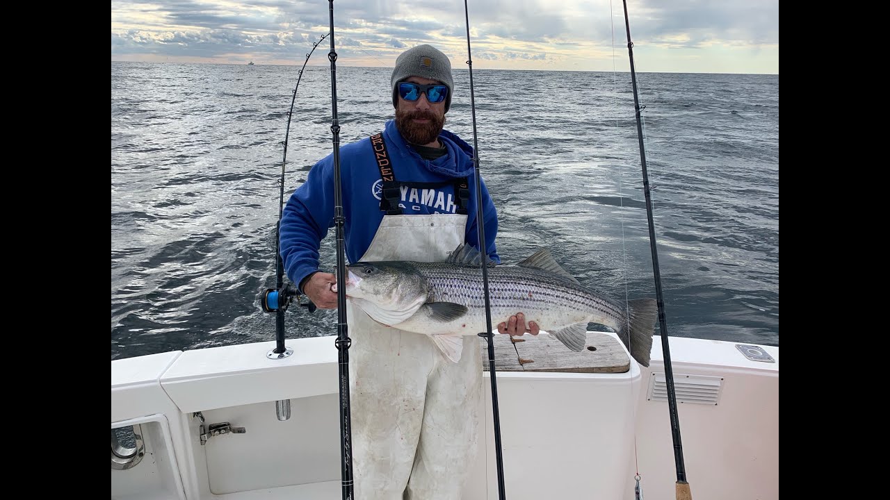 Trolling Umbrella Rigs for Mid November Striped Bass. And another