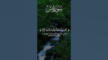 #اكسبلور #المصحف #تلاوات #راحة_نفسية #لايك #تلاوات_خاشعة #قرآن #likeandsubscribe #subscribe #quran
