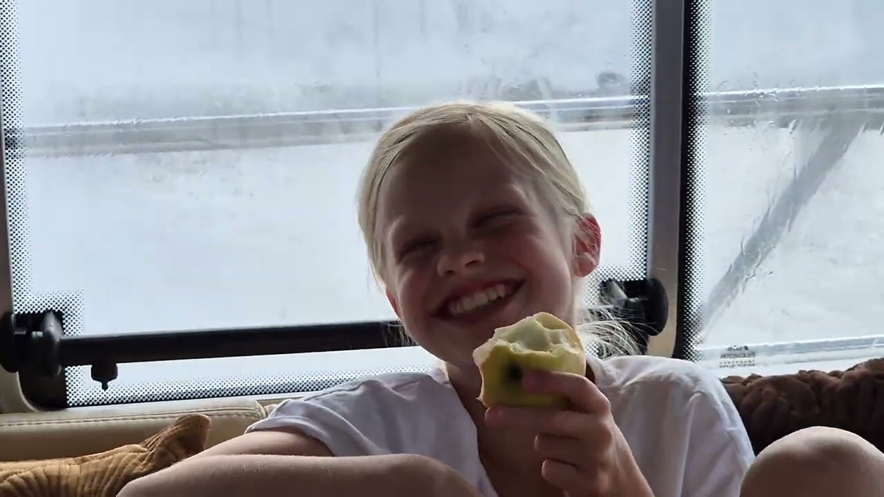 Sail Grevelingen Viknes