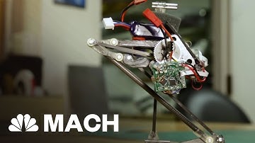 This Adorable Jumping Robot Will Lear Right Into Your Heart | Mach | NBC News