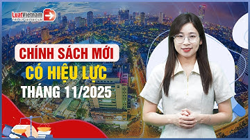 Chính Sách Mới Có Hiệu Lực Tháng 11/2025: Vàng Miếng, Trốn Đóng BHXH, Giấy Tờ Tùy Thân,..