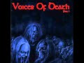 Kreator voices of death