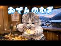 【社畜ねこのむぎ】おでん屋さんを始めたむぎの1日に密着🐱🍢