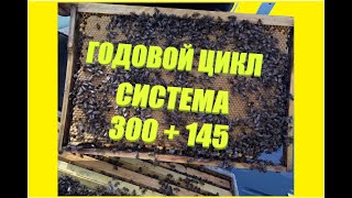 видео: От теории к практике. ТЕХНОЛОГИЯ. картинка: От теории к практике. ТЕХНОЛОГИЯ.