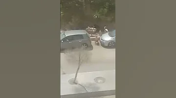 مش هتشفم دي جيلاتي 