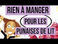 La punaise de lit peut-elle rester plusieurs mois sans se nourrir ? C&#39;est la dormance ou la diapause