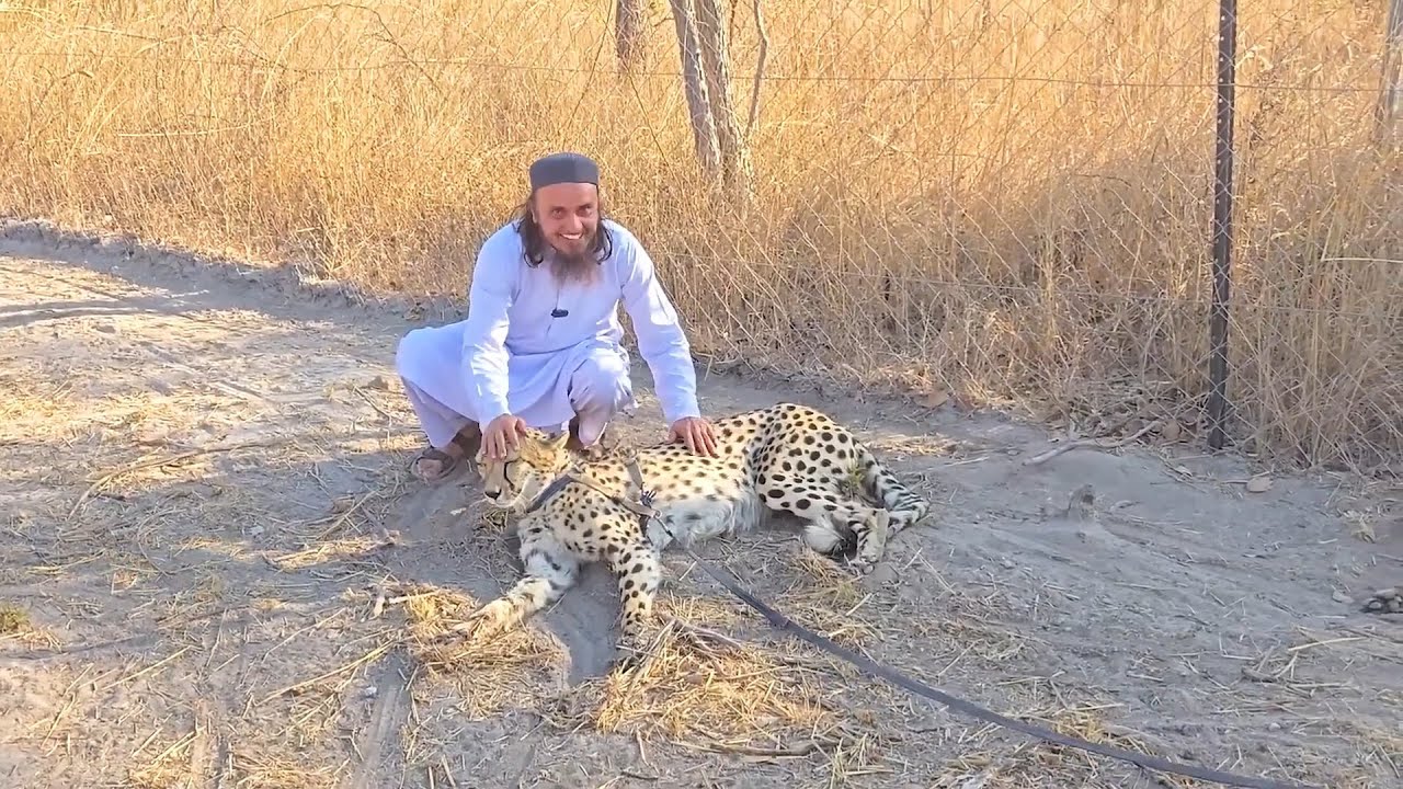 Mufti Tariq Masood Cheetah Ke Sath Africa Ke Jungle Me | Vlog Full Hd | Islamic Group