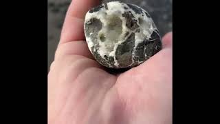 Oregon Coast Agates #3