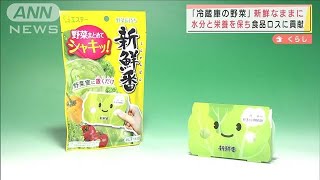 “冷蔵庫野菜”長持ちに・・・水分と栄養保つ鮮度保持剤(2022年3月16日)