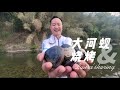 这么大的河蚬你见过吗？放上蒜蓉一起烧烤，那味道出乎意料