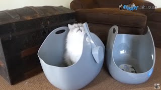 LitterLocker Cat Litter Boxes