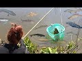 Amazing Smart Girl Catch A Lot Of Fish Using Basket - How to catch small fish with Basket