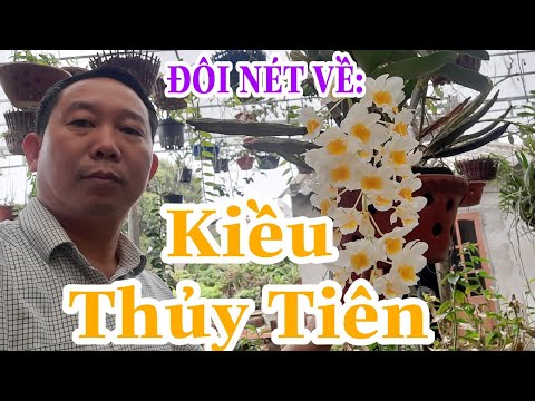 Video Đôi nét về lan Kiều - Thủy Tiên - youtube