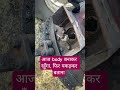 #viral #trending #amazingfacts