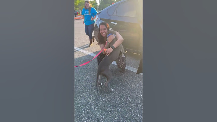 Lost dog reunited with family after two years | Humankind #Shorts