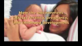 How the environment affects fertility, pregnancy, and childhood development