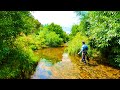 Sight fishing for brown trout with a single fly