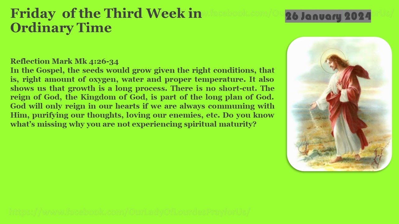 Memorial of Saints Timothy and Titus, bishops 26 January 2024 Reading ...