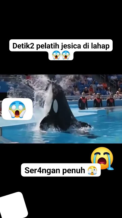 #viral #jesica #pausorcamahkota #tranding