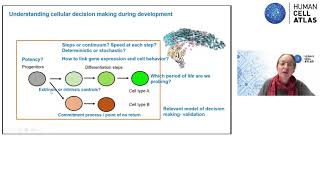 Breakout Session #3 Report Back